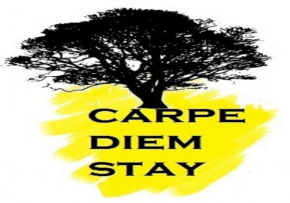 Carpe Diem Stay